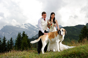 switzerland wedding company